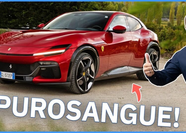 2024 Ferrari Purosangue: The Ferrari Four Seat Sports Car! | Drive.com.au