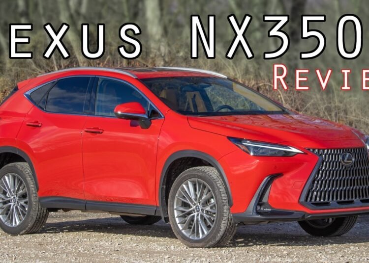 2024 Lexus NX350h Review My New FAVORITE Lexus SUV! (57,955