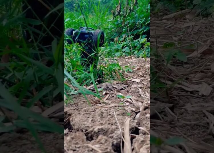 RC Car review