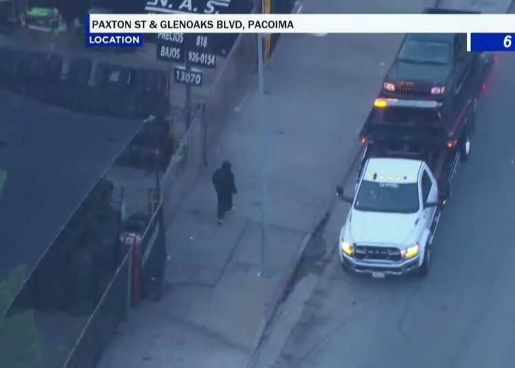 Police chase: authorities in pursuit of allegedly stolen vehicle